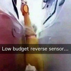 Meet your Posher, Janet